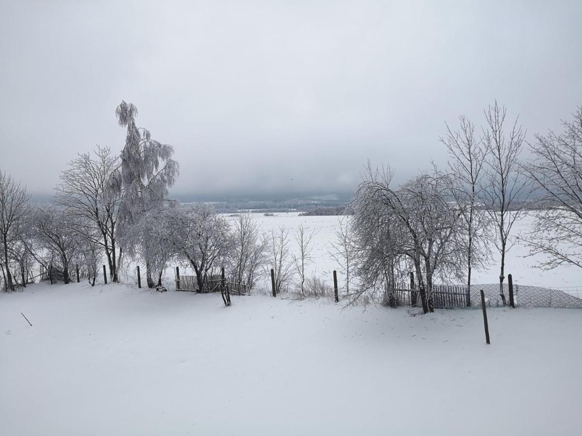 Agroturystyka Cieslarowka ลูบาฟกา ภายนอก รูปภาพ